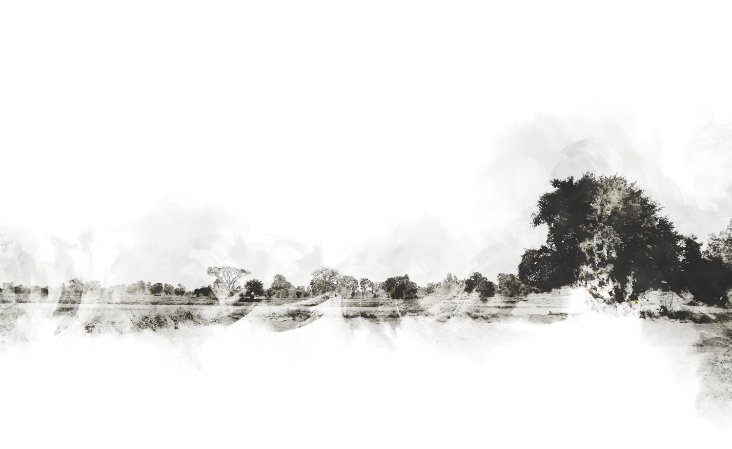 Earthwork Wines — Terroir-Driven California Wines